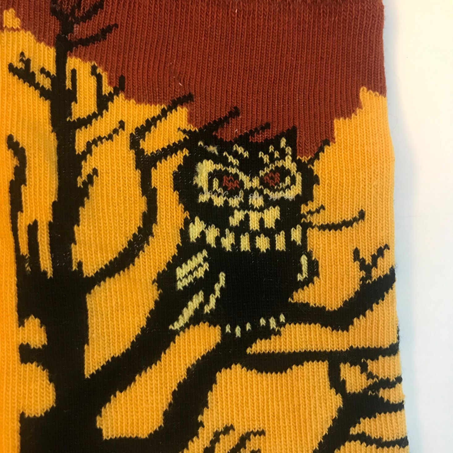 Sock Panda November 2019 owl close up