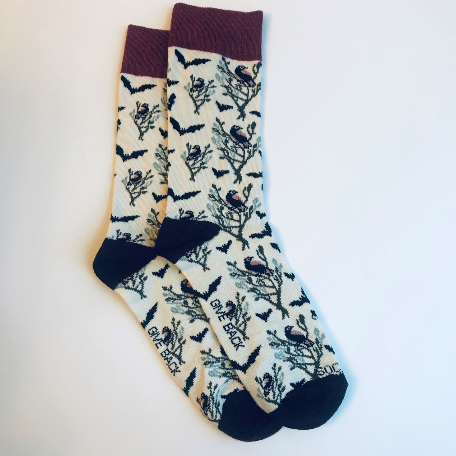 Sock Panda November 2019 white socks laid out side by side