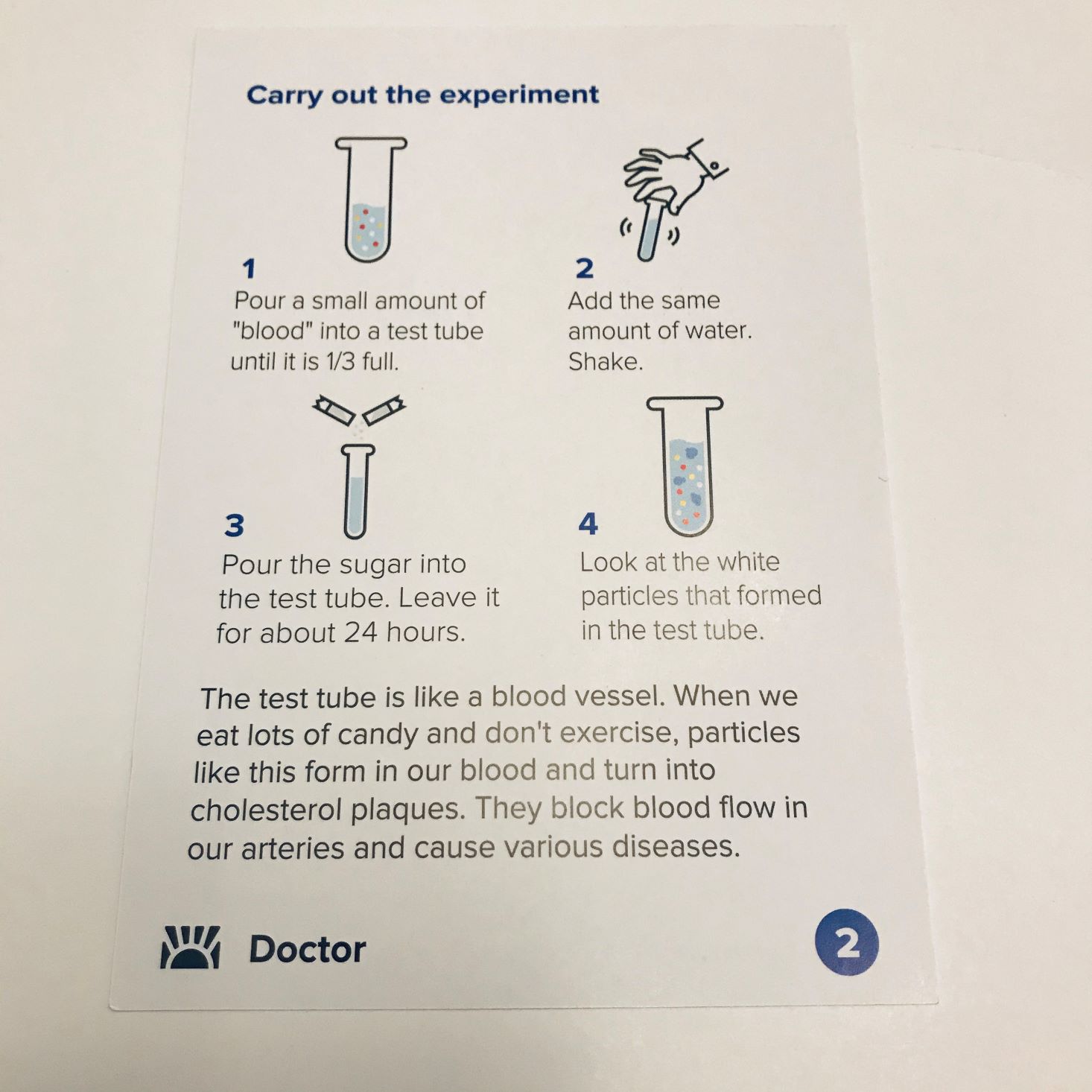 Oyster November 2019 blood cells 1