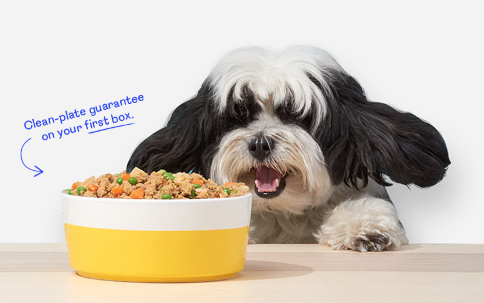 PetPlate Coupon – Save 50% Off Your First Box!