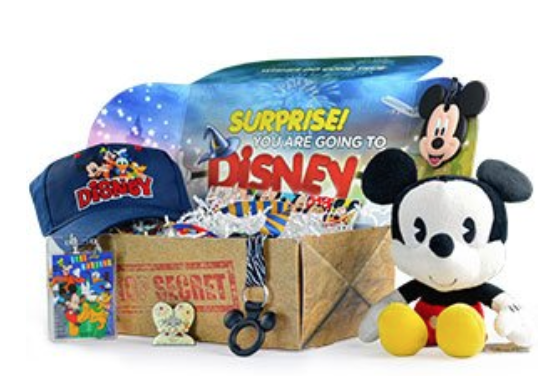 Walt Life Disney Box Black Friday Coupon – 25% Off Your First Month!