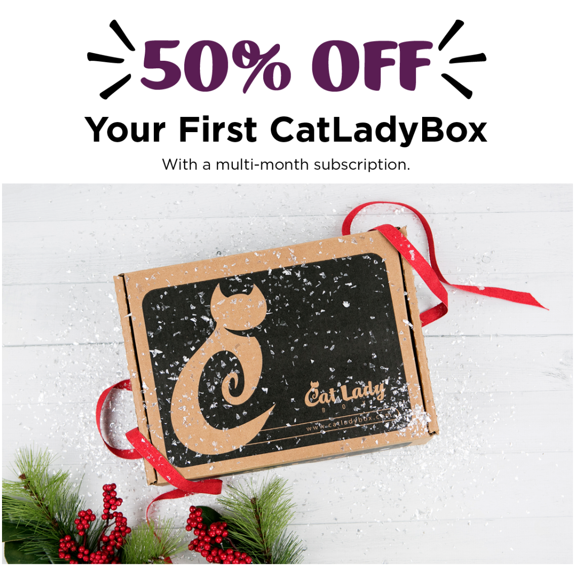 CatLadyBox Black Friday Sale – 50% Off Your First Box + Deals on Past Items & Gifts