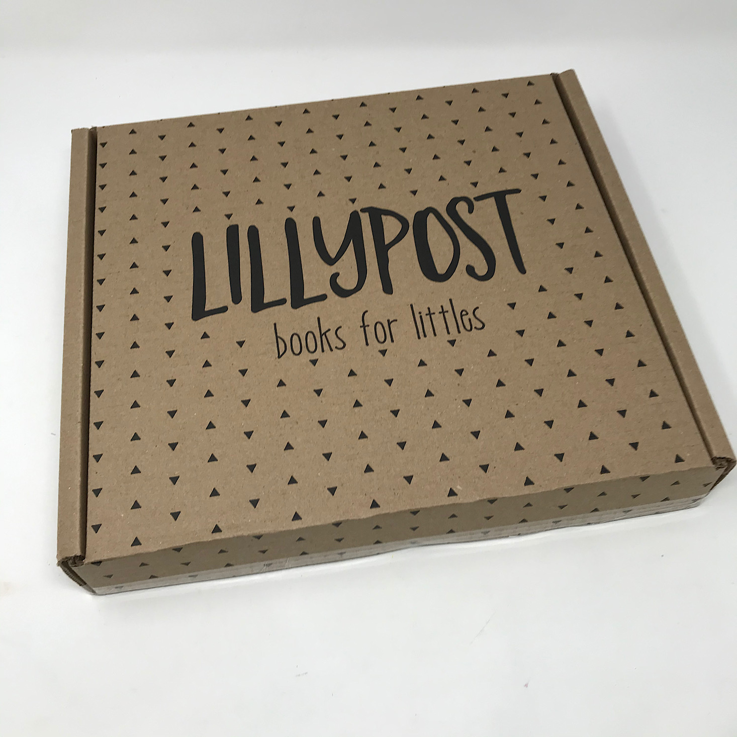 Lillypost Mixed Book Subscription Box Review – November 2019