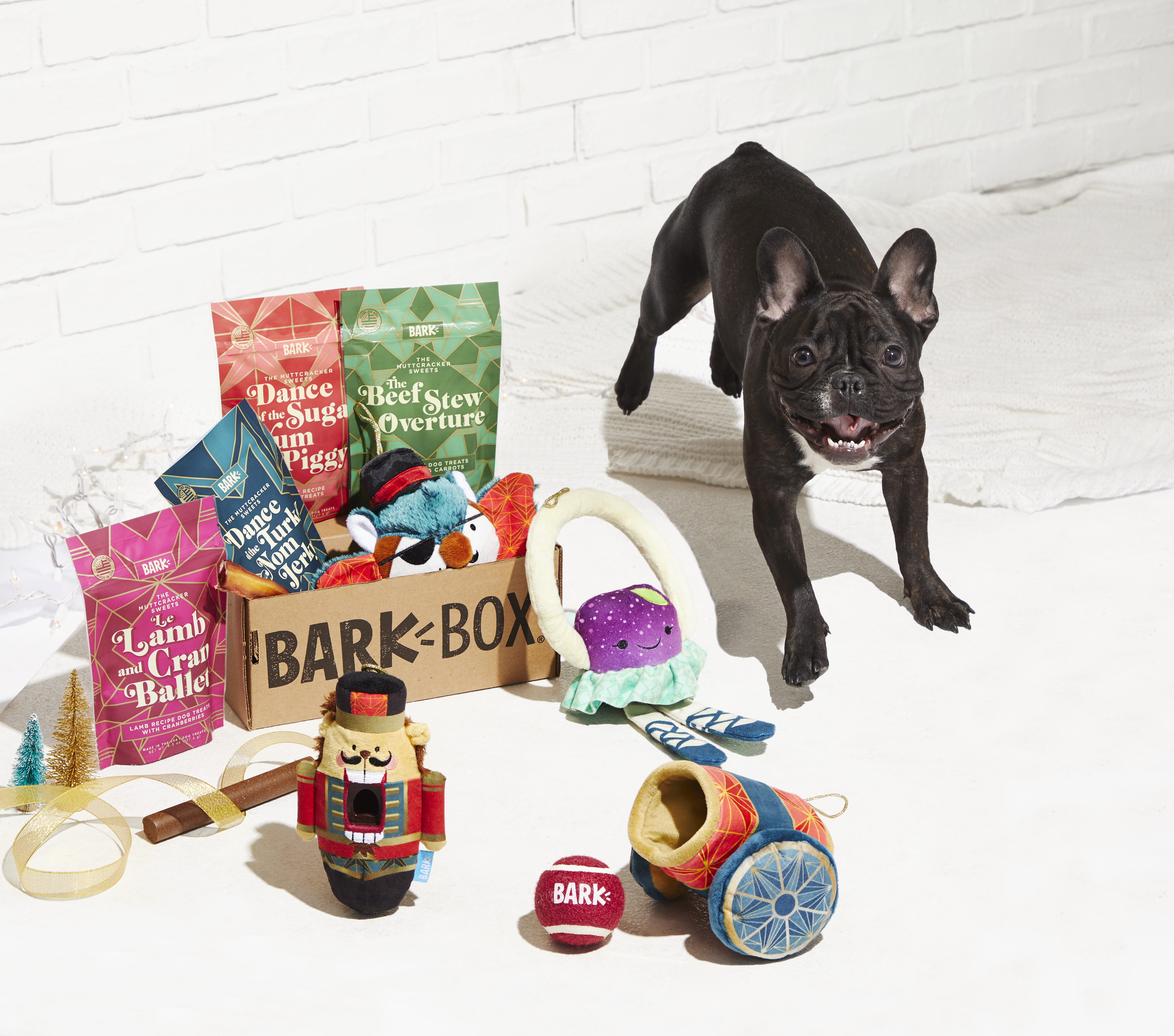 BarkBox Coupon – Double Your First Box with Subscription!
