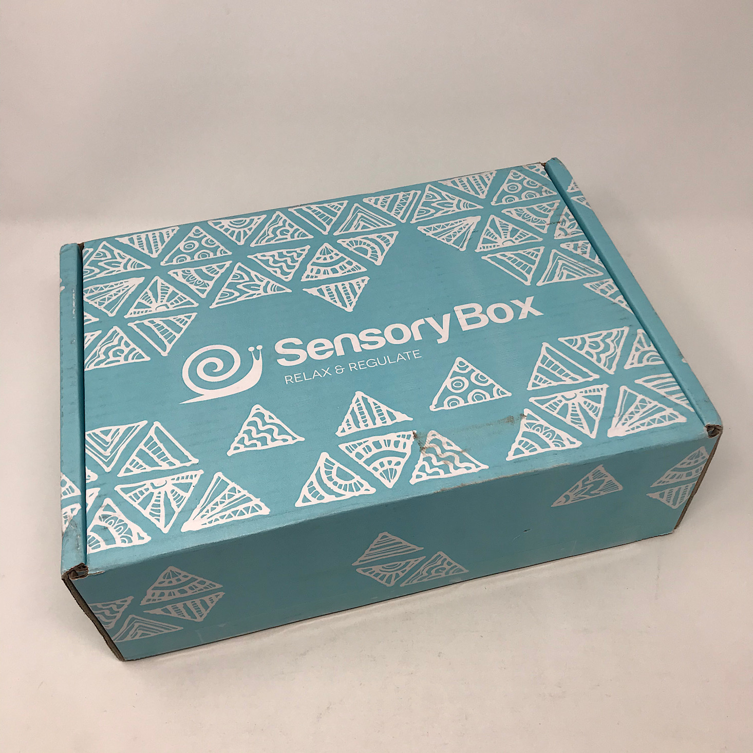 Sensory Box Review + Coupon – Winter 2019