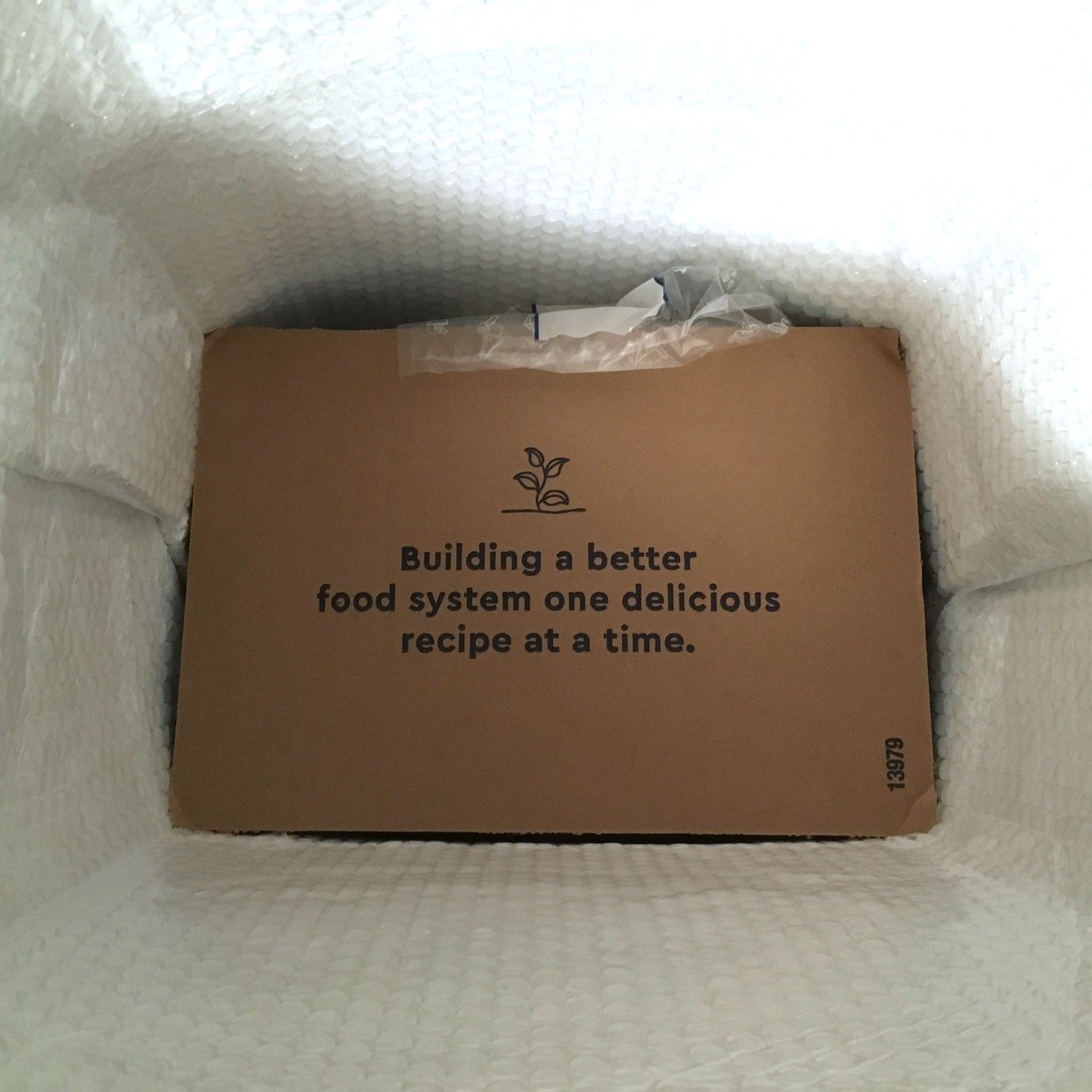 cardboard divider within the box