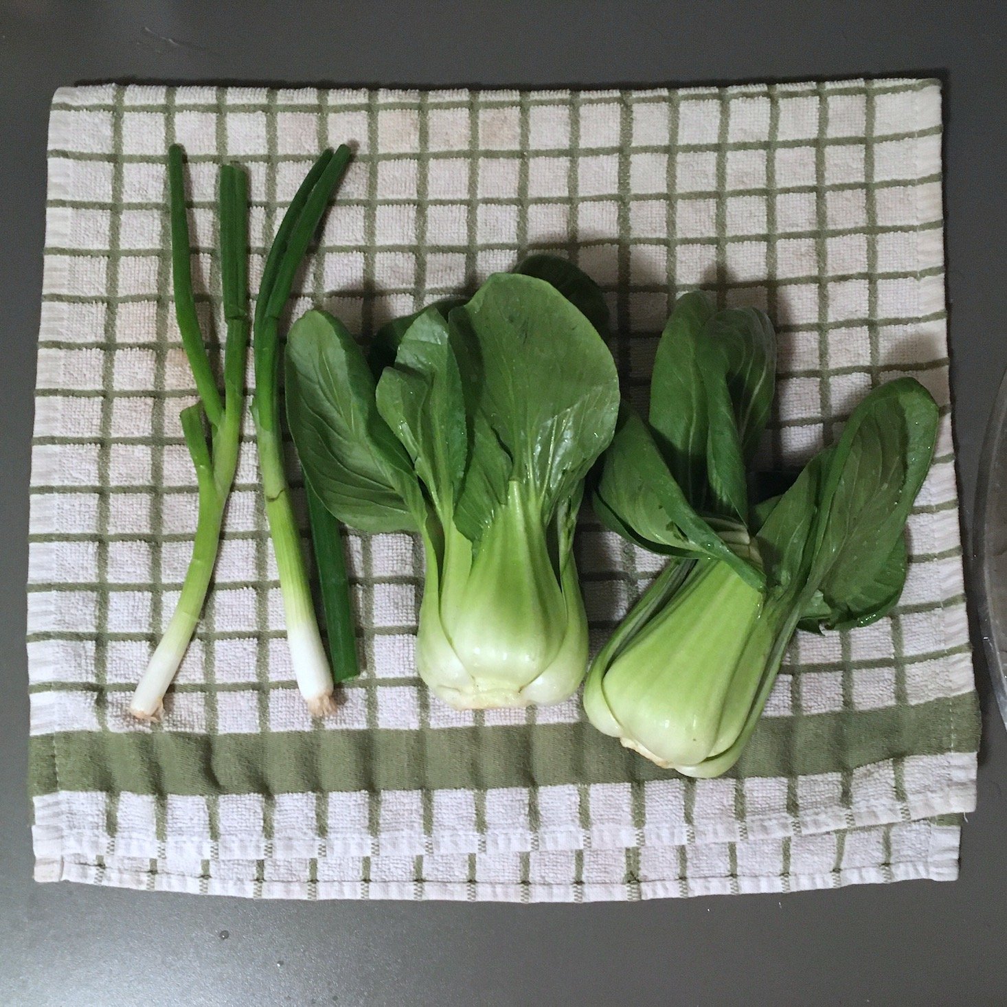 bok choy and scallions drying on kitchen towel