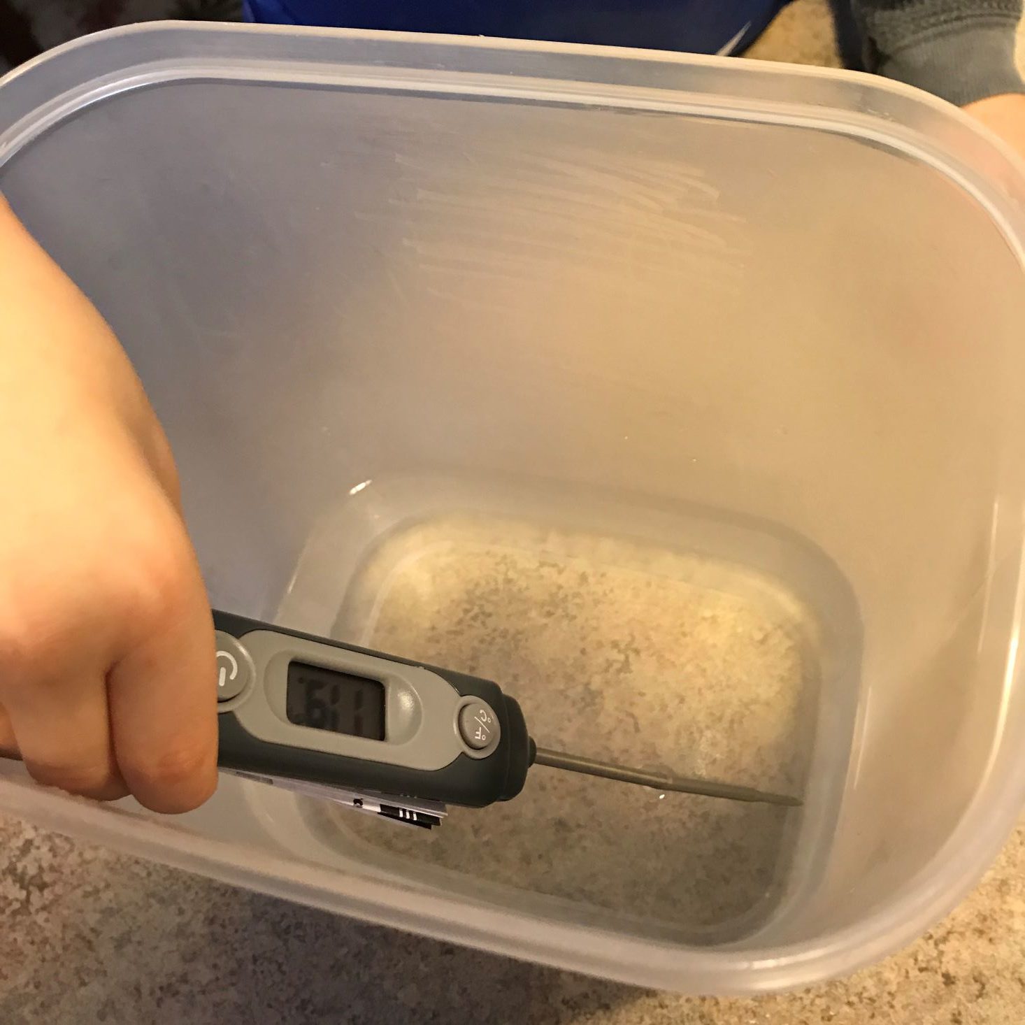 Oyster Kit December 2019 temping water