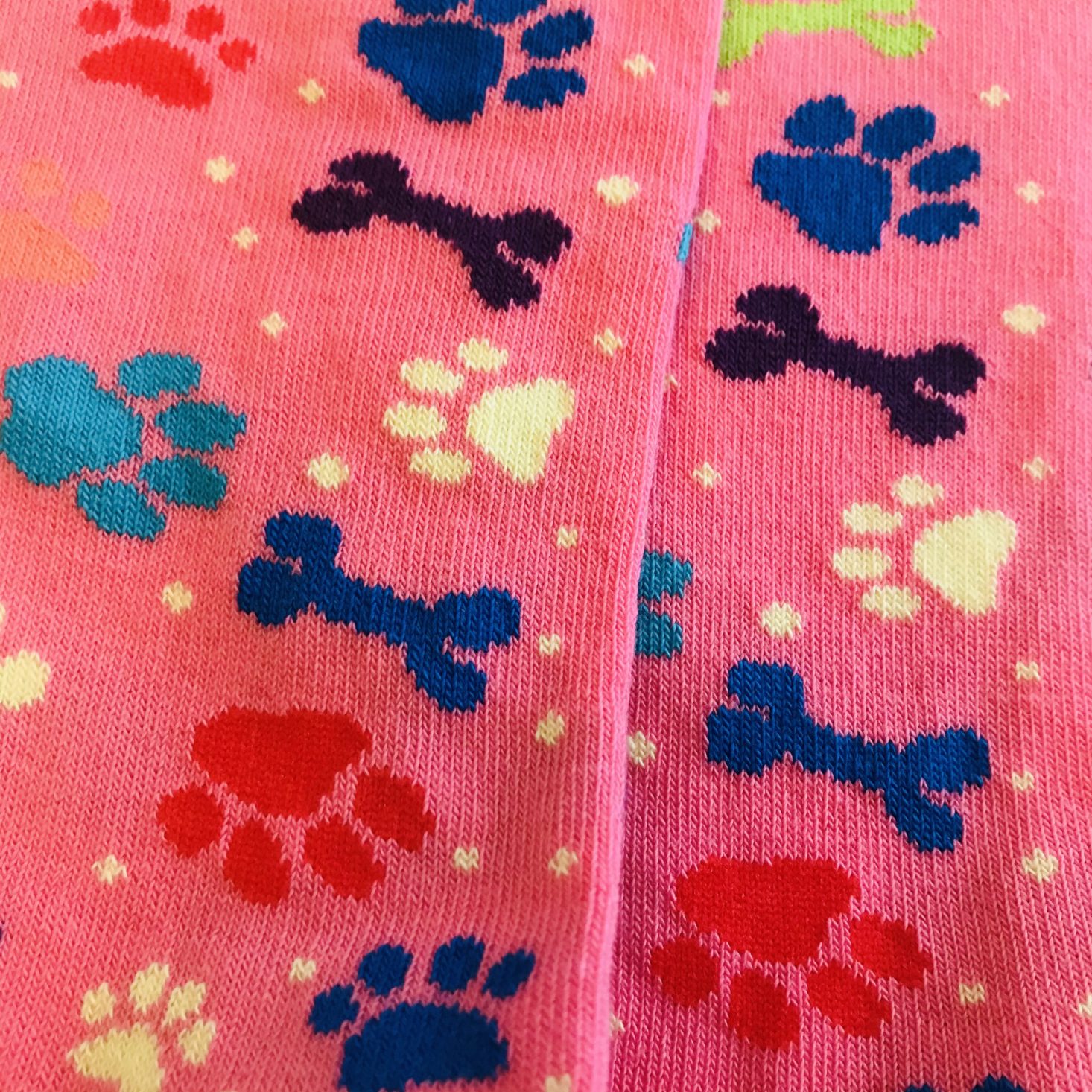 Sock Panda Women December 2019 paw socks close up