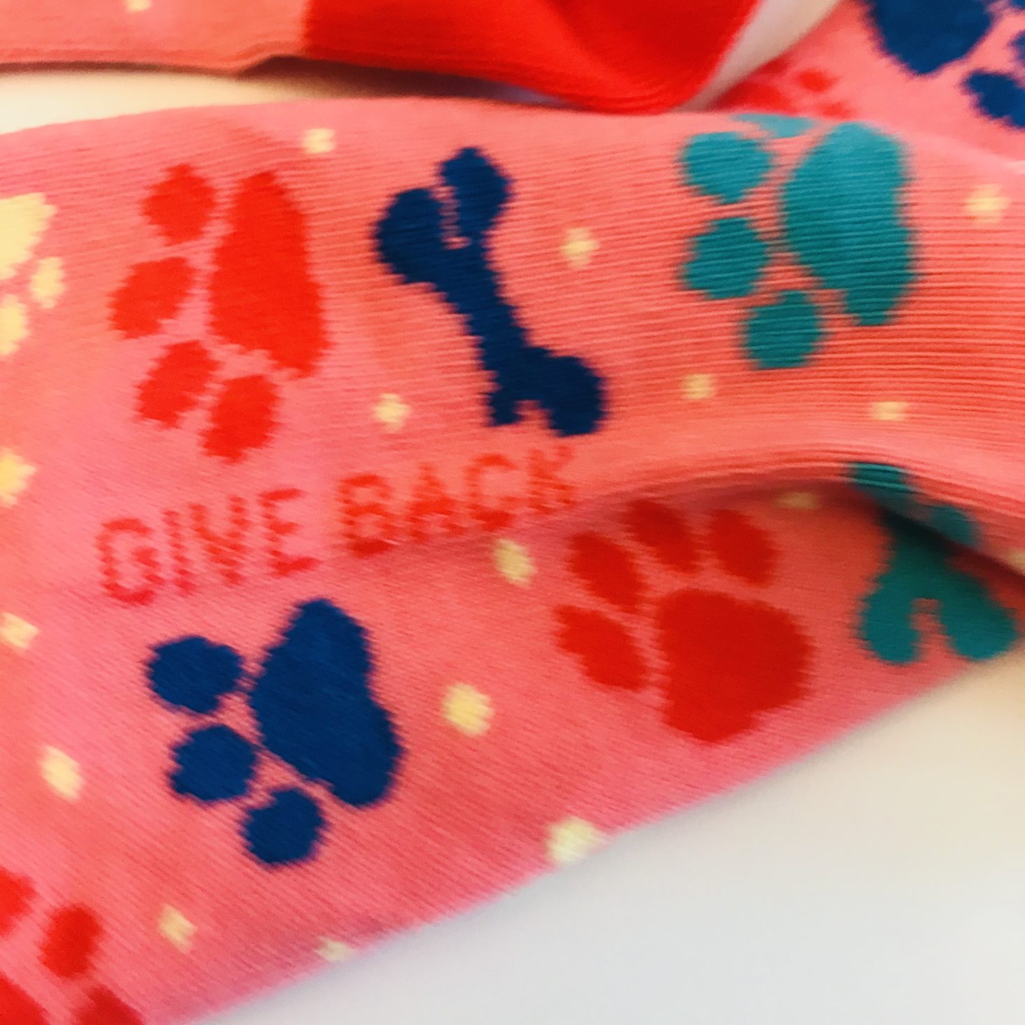 Sock Panda Women December 2019 give back paw socks