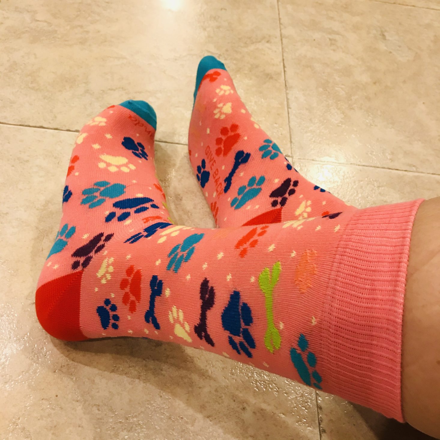 Sock Panda Women December 2019 dog paw socks 1