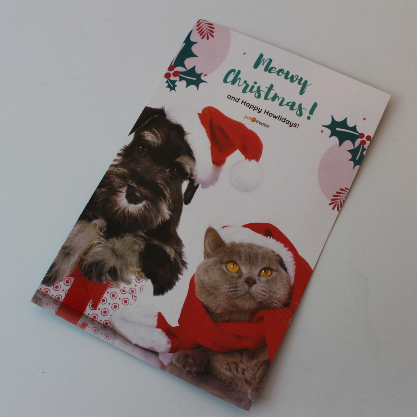 Pet Treater Cat December 2019 Booklet Back