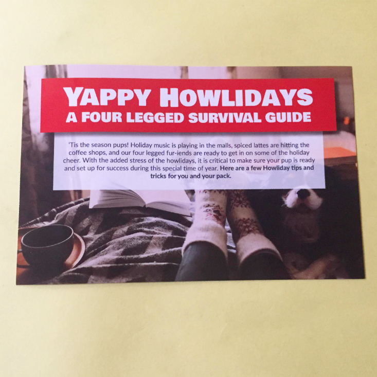 PupBox Baby November 2019 Howliday tips front