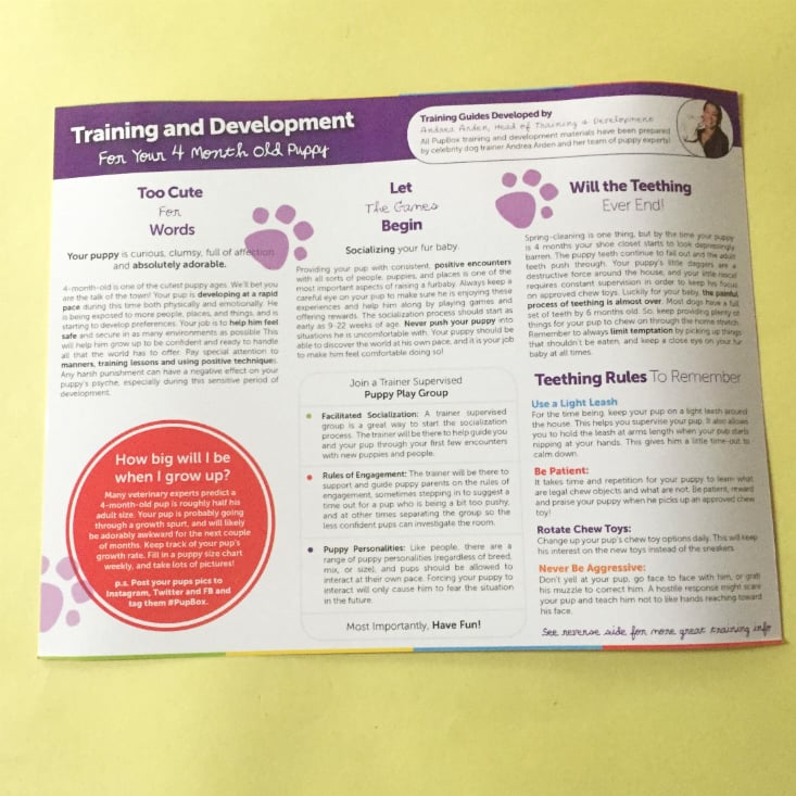 PupBox Baby November 2019 training card back