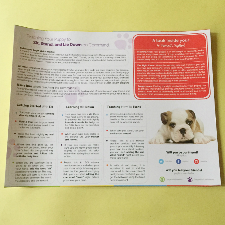 PupBox Baby November 2019 training card