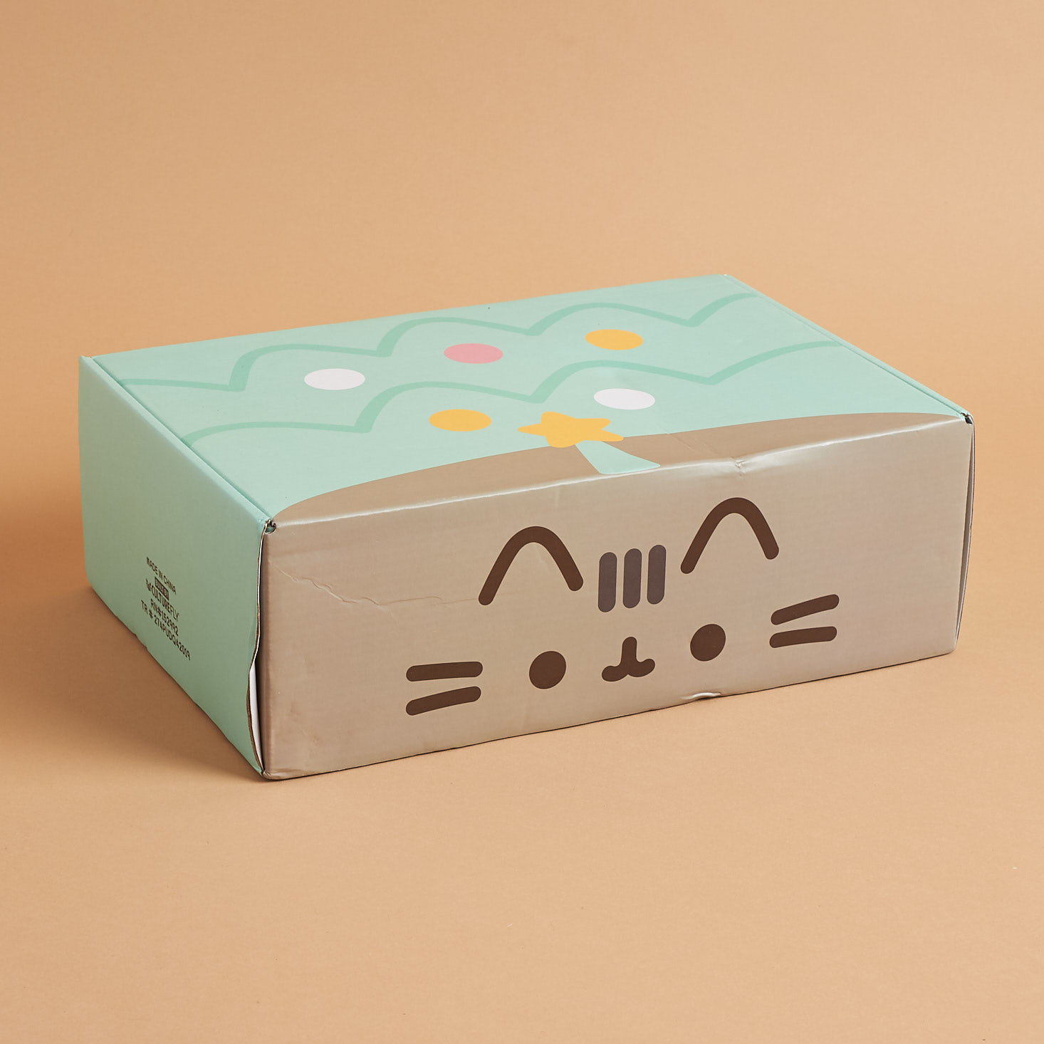 Pusheen Box Review – Winter 2019