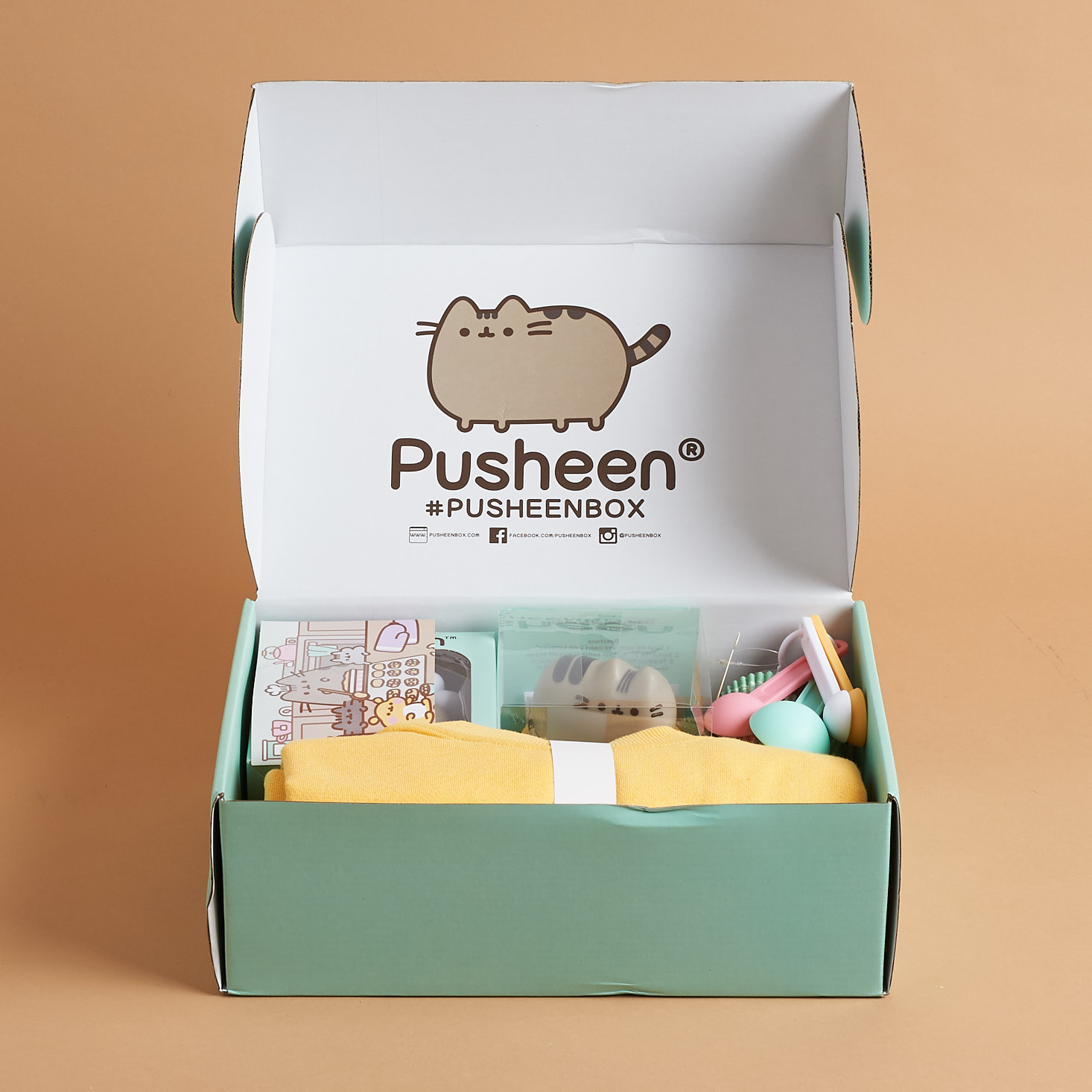 Pusheen Box Review - Winter 2019 | MSA