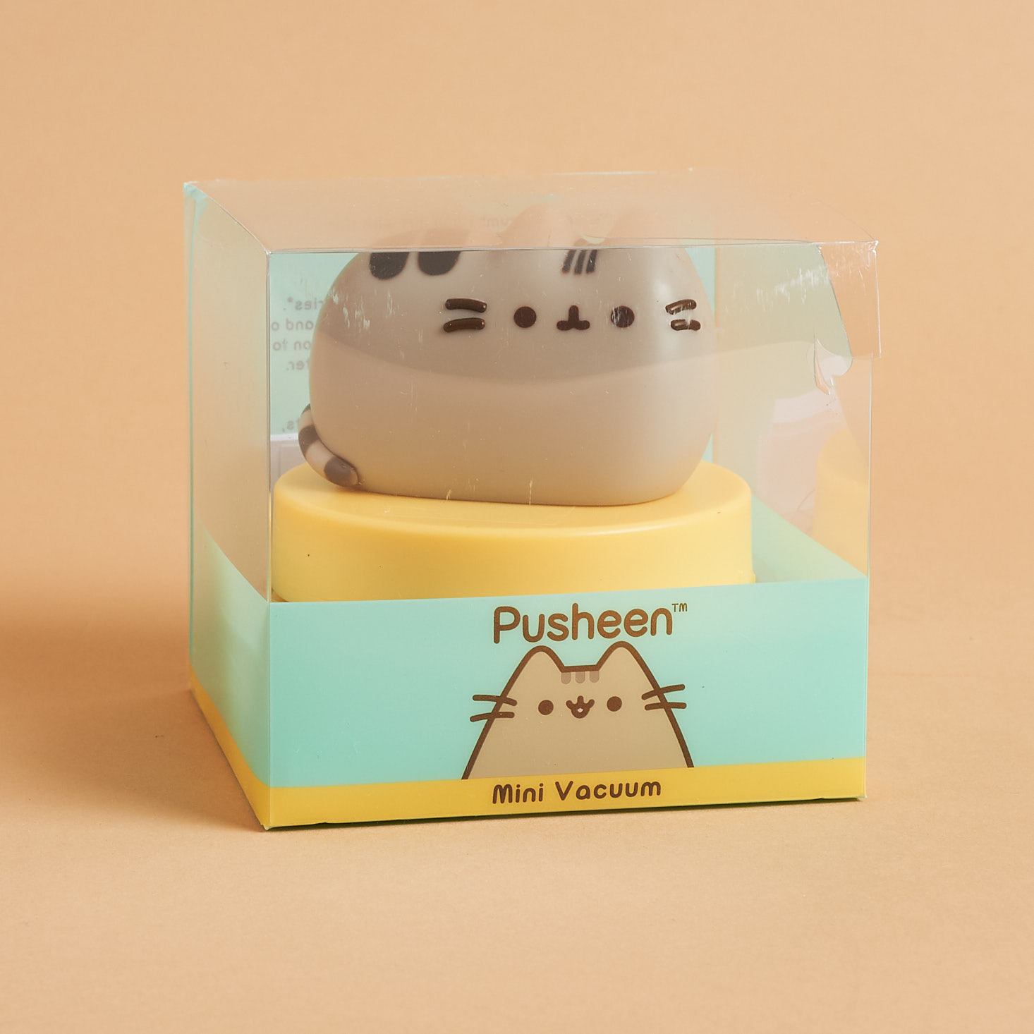 Mini Pusheen Vacuum in box