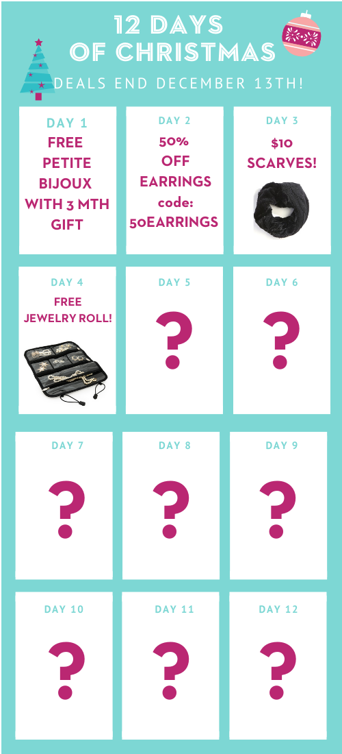 Your Bijoux Box Deal – Free Jewelry Roll With Subscription!