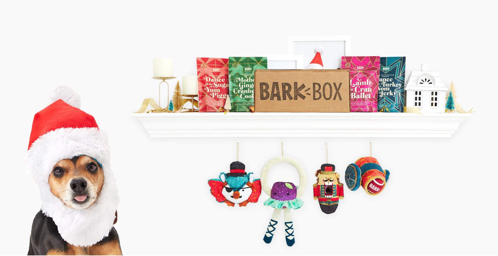BarkBox Coupon – 40% Off Your First Box!