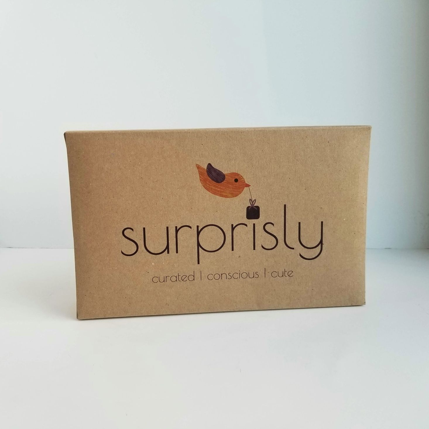 Surprisly Baby Clothing Subscription Box Review – January 2020