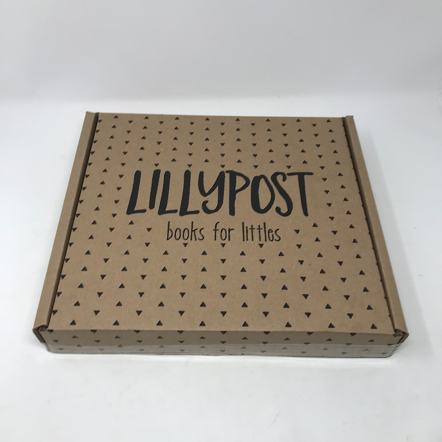 Lillypost Mixed Book Subscription Box Review – December 2019