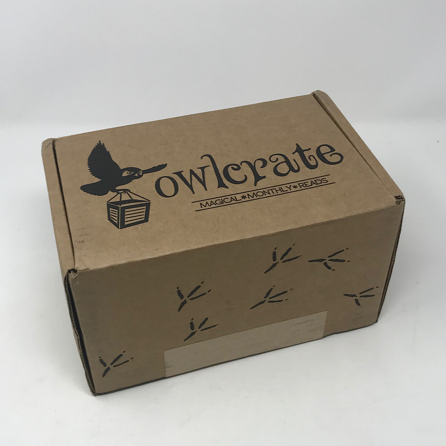 OwlCrate YA Book Box Review + Coupon – January 2020