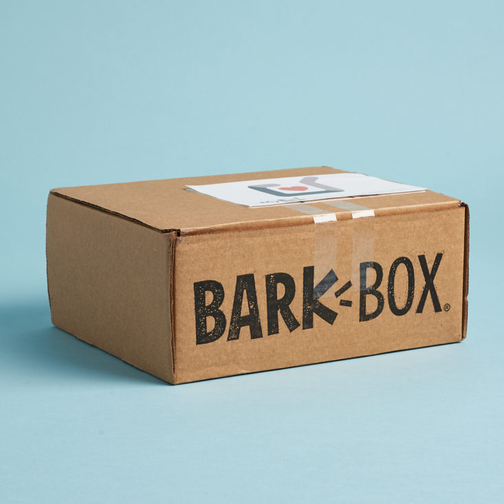 Barkbox Muttcracker December 2019 dog subscription box review