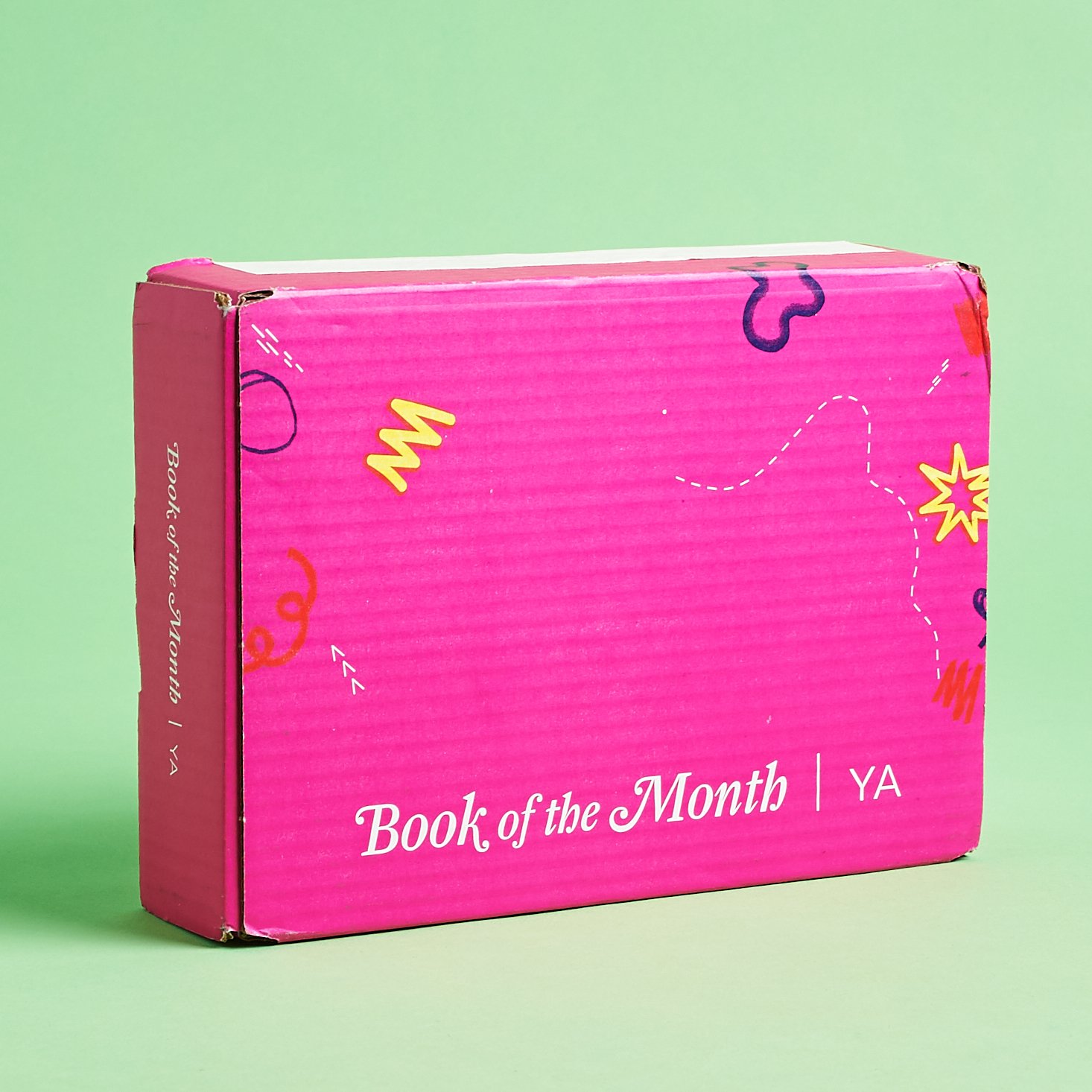 Book of the Month YA Review + Coupon – January 2020