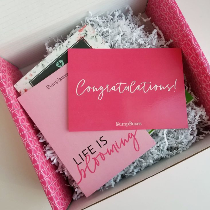 Bump Boxes January 2020 Subscription Box Review + Coupon - Hello  Subscription