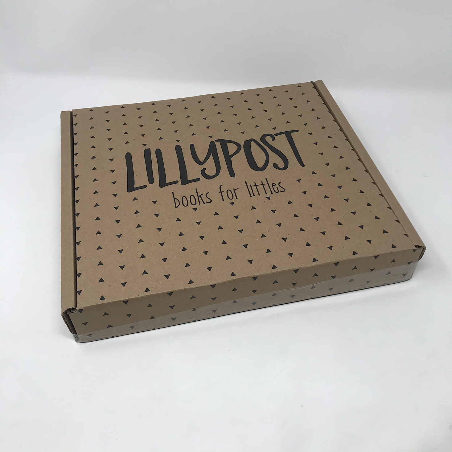 Lillypost Mixed Book Subscription Box Review – January 2020
