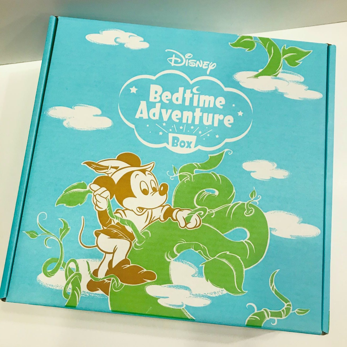 Disney Bedtime Adventure Box Review – January 2020