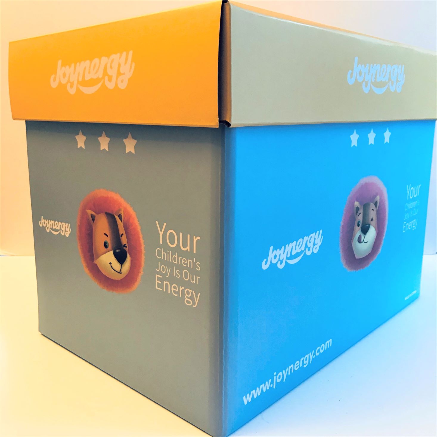 Joynergy Toy Subscription Box Review + Coupon – January 2020