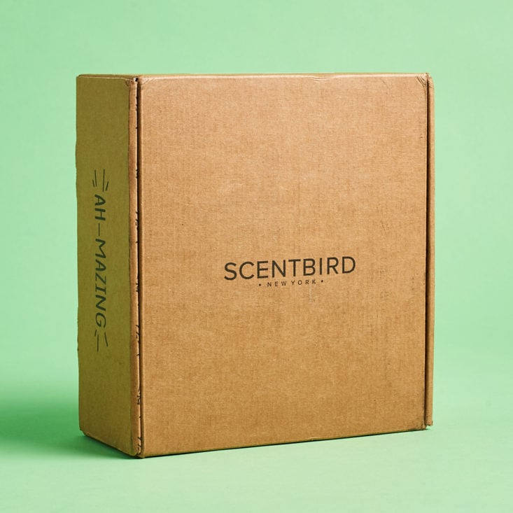 Scentbird January 2020 skincare subscription review