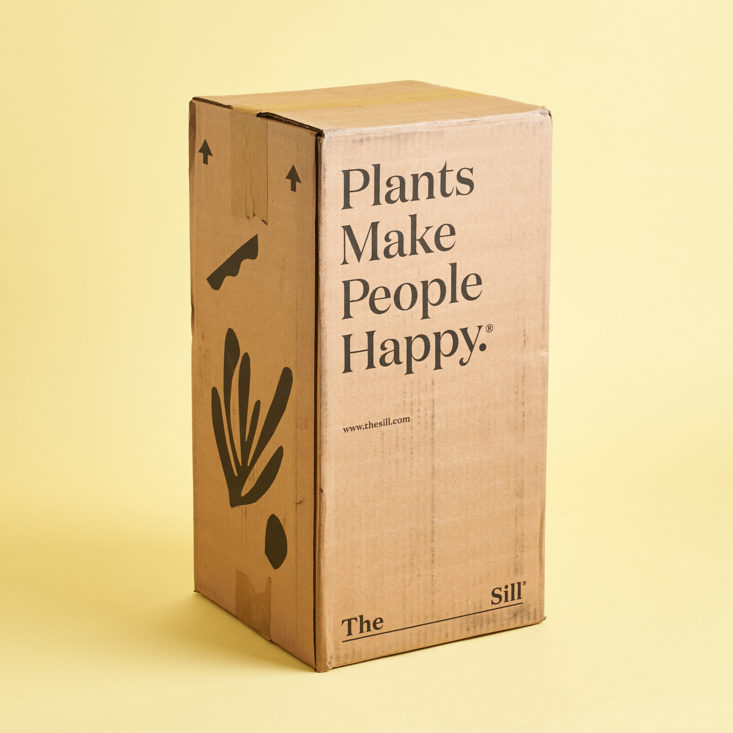 The Sill January 2020 plant subscription box review