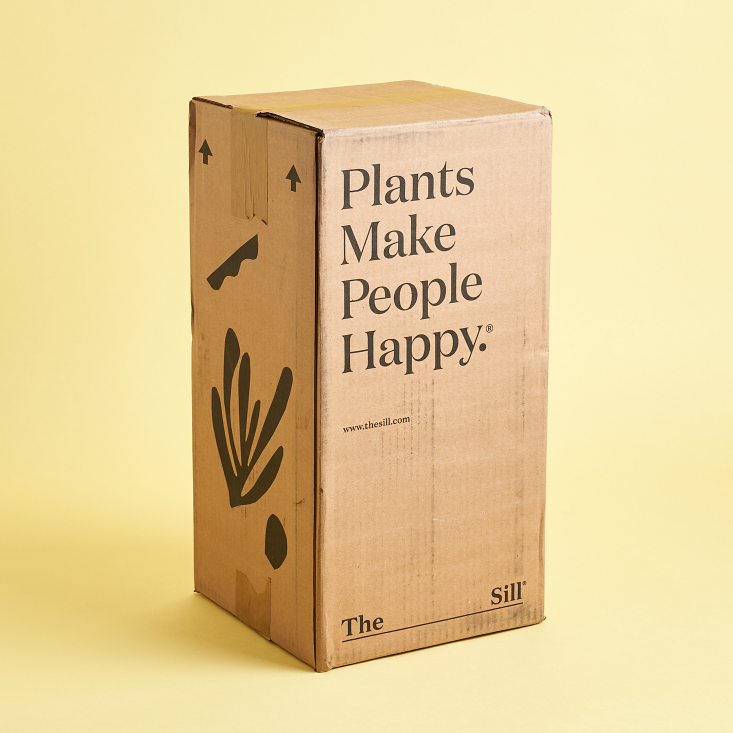 The Sill Plant Subscription Box Review – January 2020