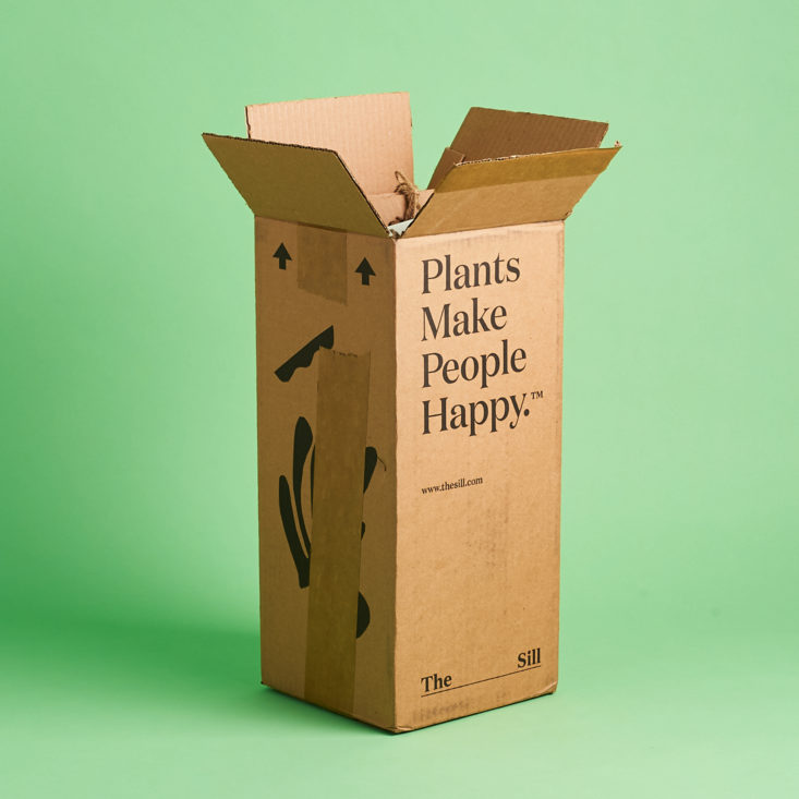 The Sill January 2020 plant subscription review