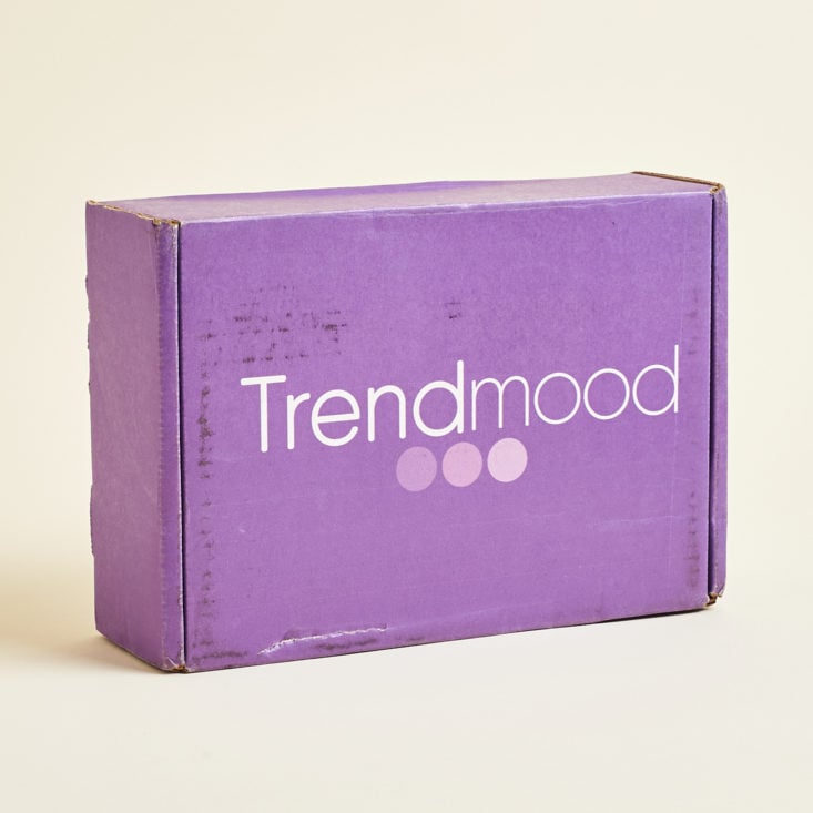 Trendmood December 2020 new makeup subscription box review