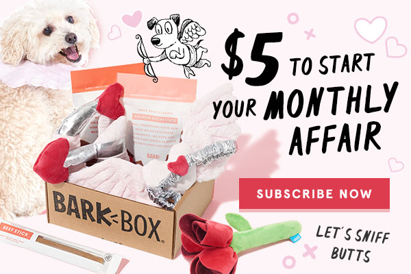 BarkBox Coupon – First Box For $5!