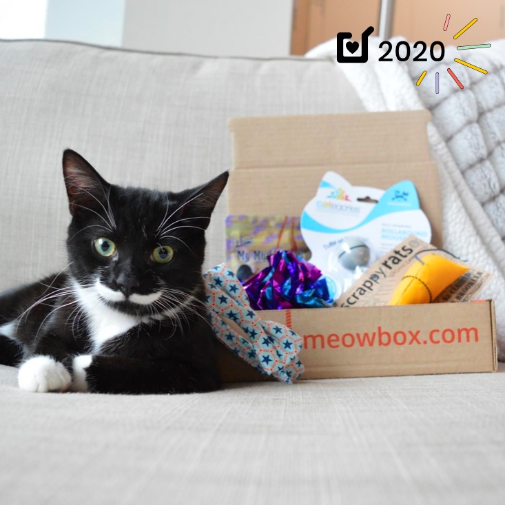 For Cat Lovers: Meowbox