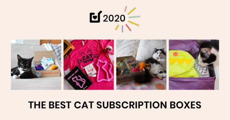 Best Subscription Boxes for Cats