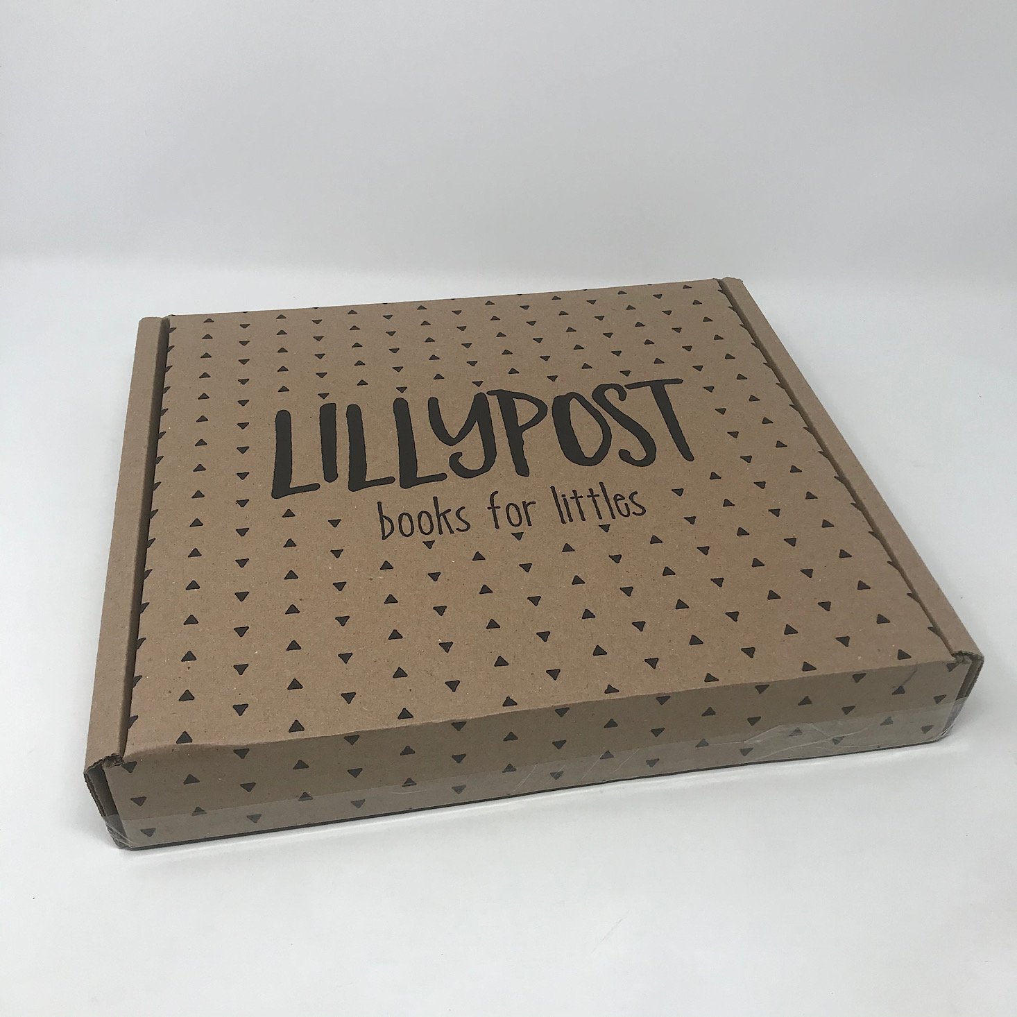 Lillypost Mixed Book Subscription Box Review – February 2020