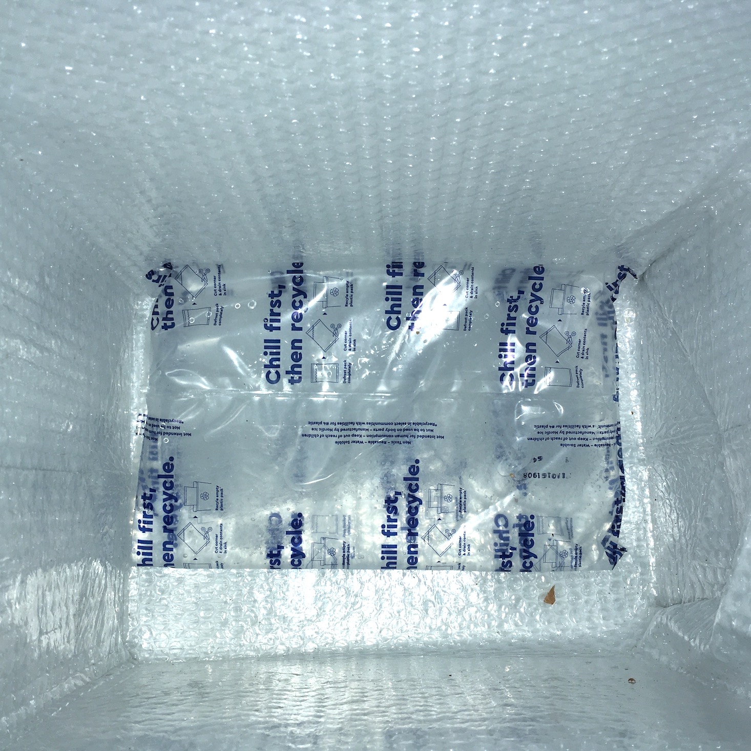 Blue Apron February 2020 - top view of inside of box showing ice pack in the bottom