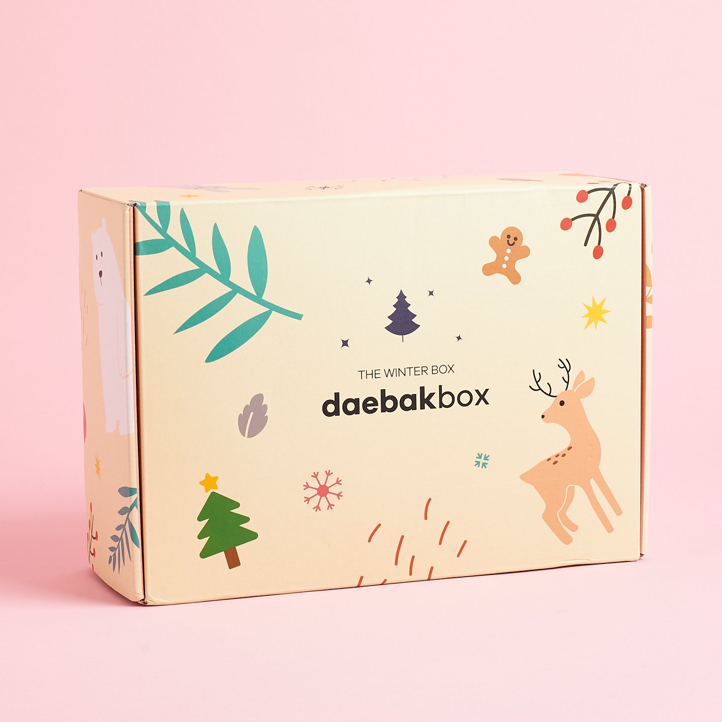 Daebak Box Korean Subscription Review – Winter 2019