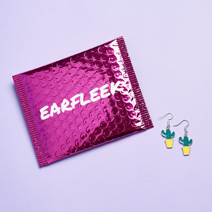 last minute holiday subscription box gifts earfleek