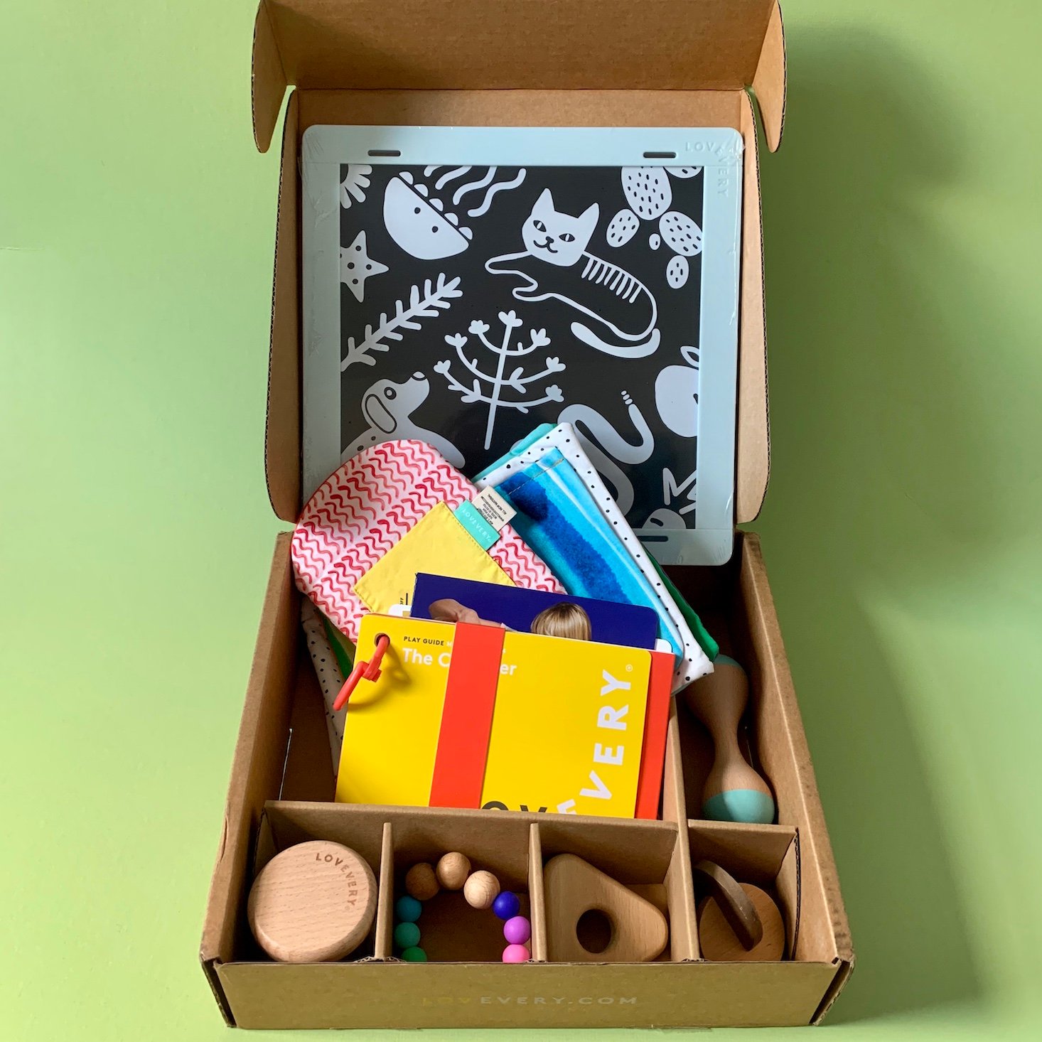 Lovevery “The Charmer” Play Kit Review – February 2020