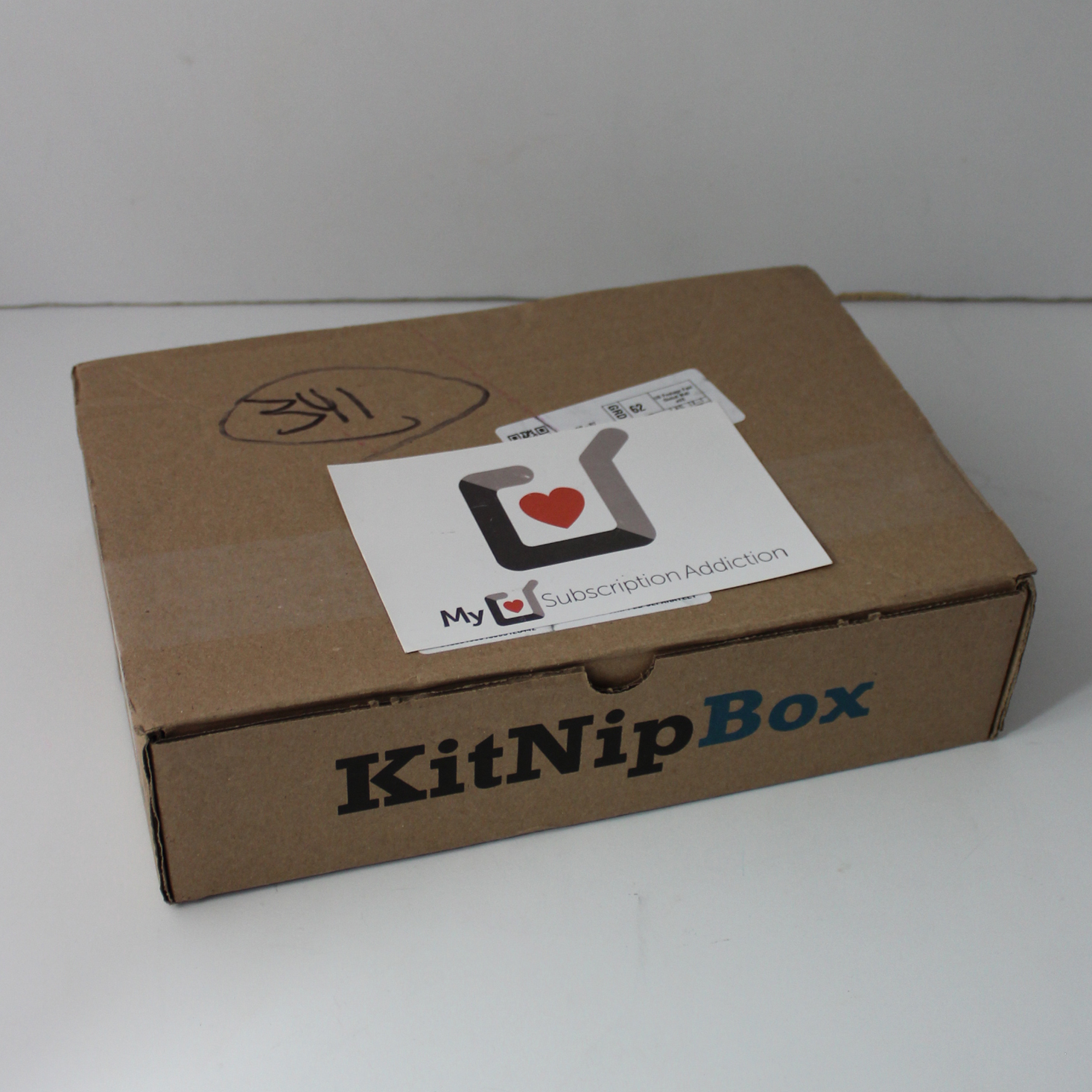 KitNipBox Cat Subscription Review + Coupon – February 2020