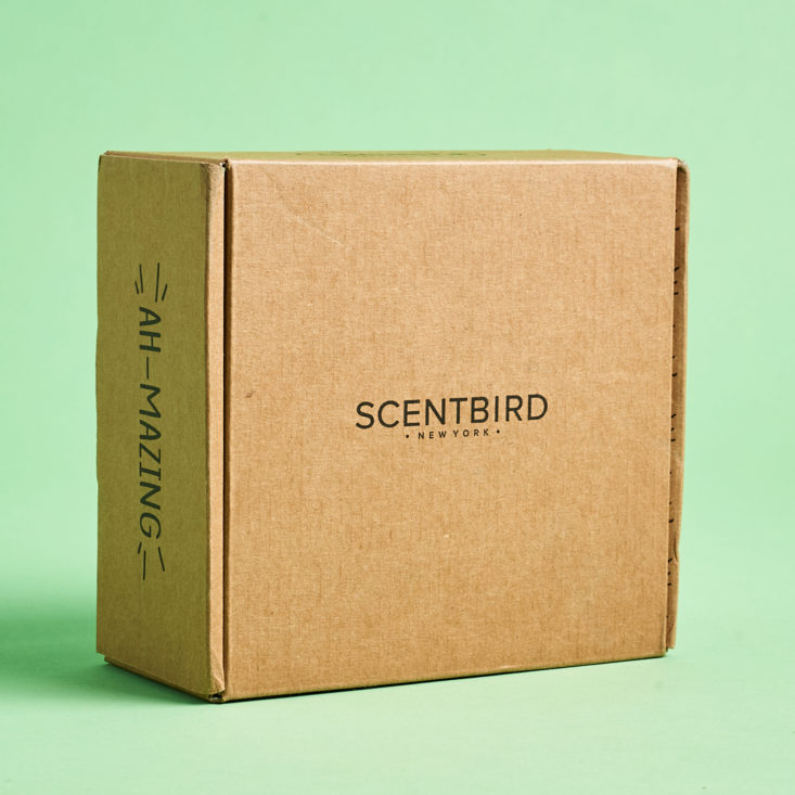 Scentbird February 2020 skincare subscription review