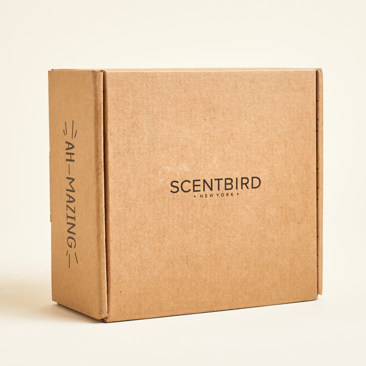 Scentbird January 2020 skincare subscription review