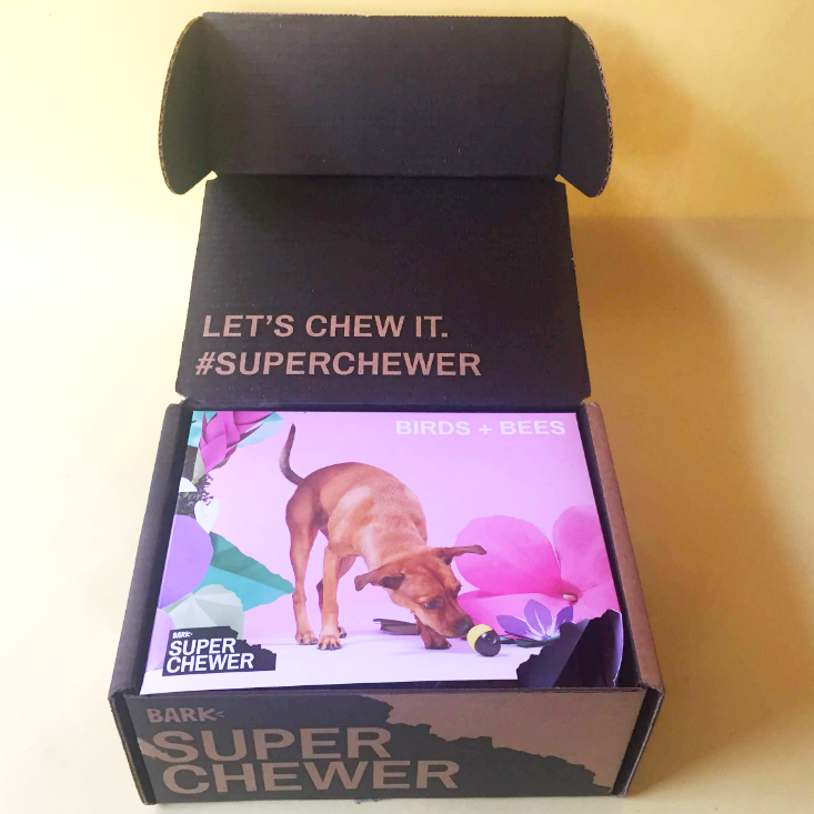 super chewer barkbox february 2020